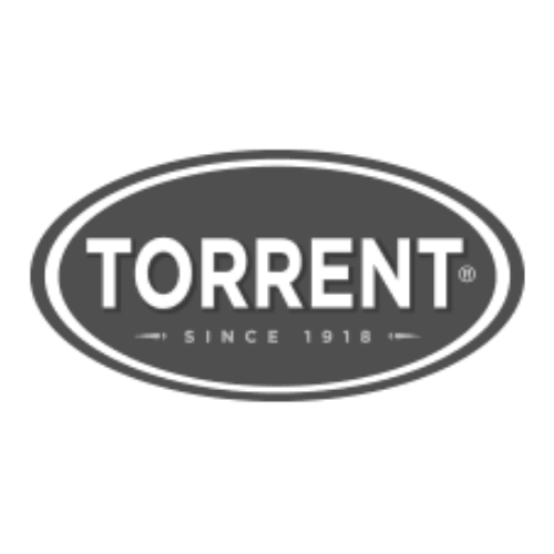  TORRENT 